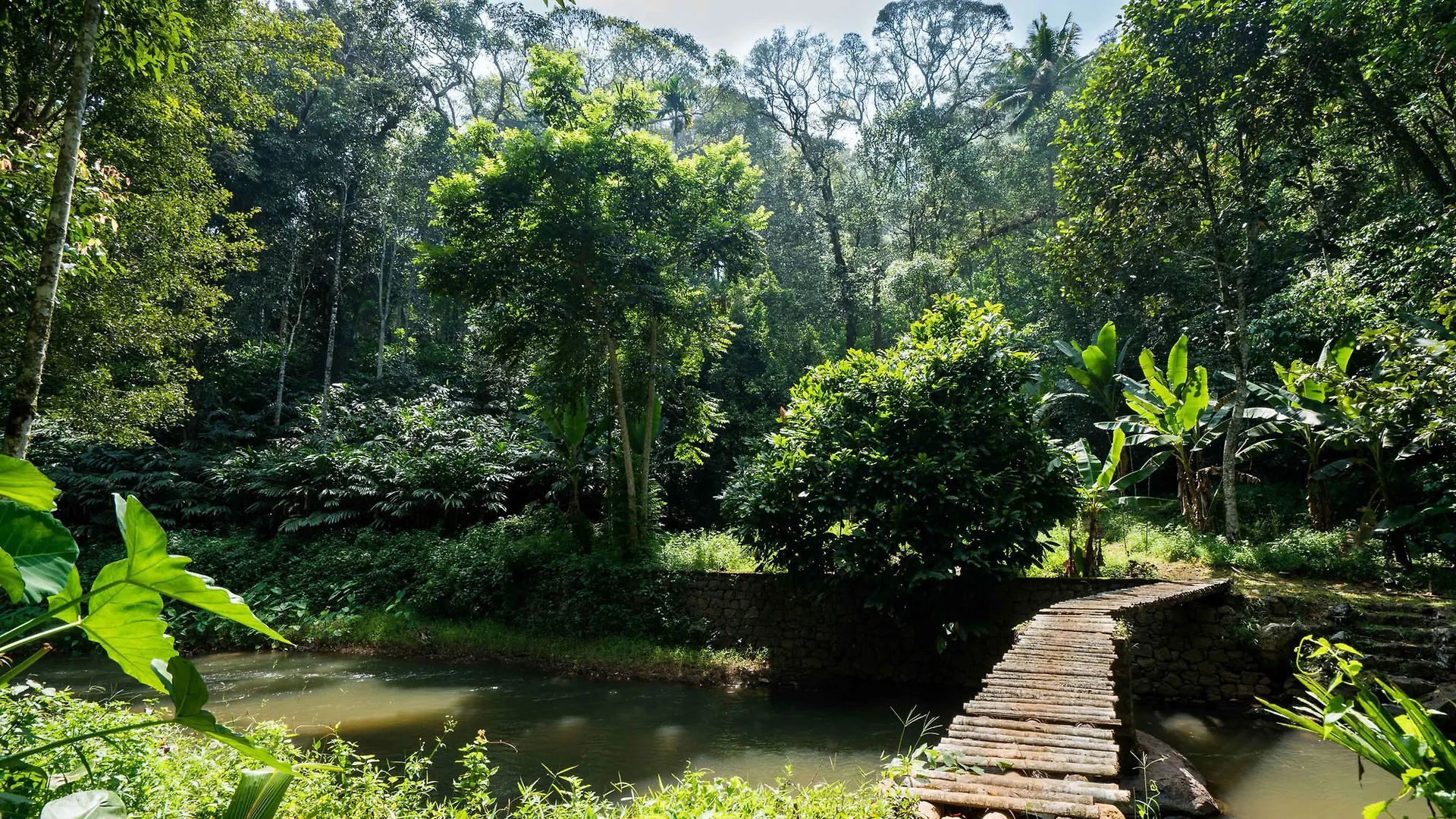 Hotel Oyo 10146 Eden Farm House Munnar