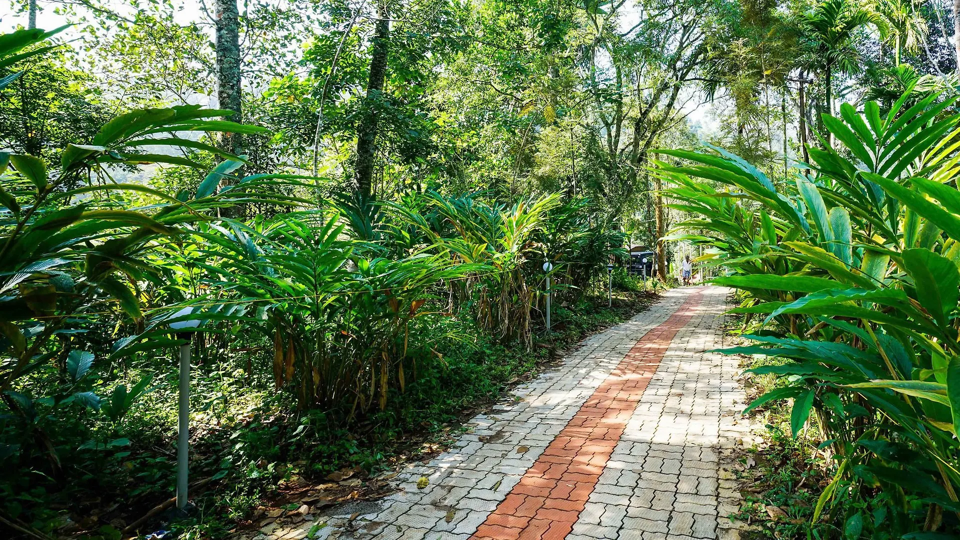 Oyo 10146 Eden Farm House Munnar Hotel
