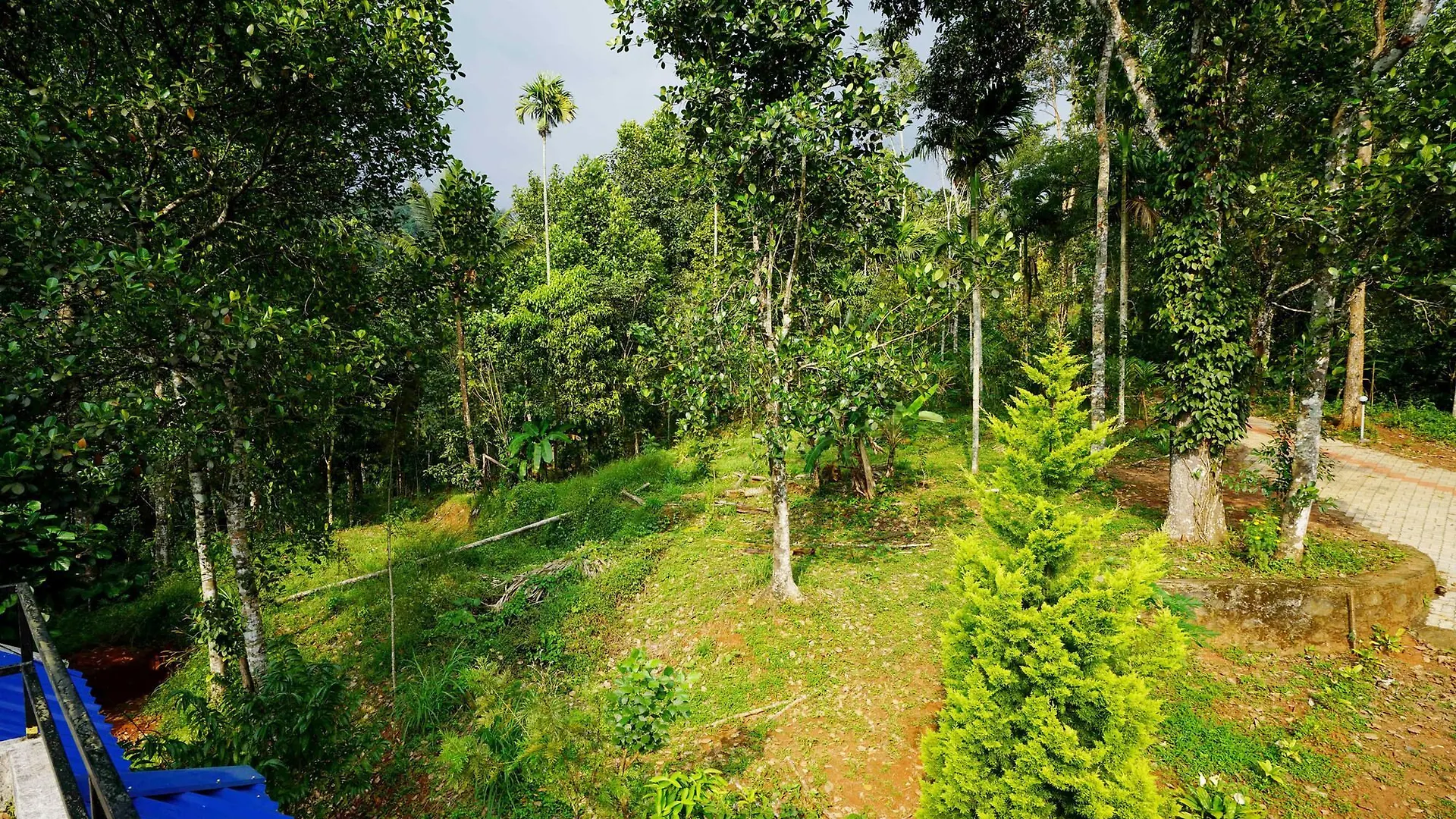 Oyo 10146 Eden Farm House Munnar