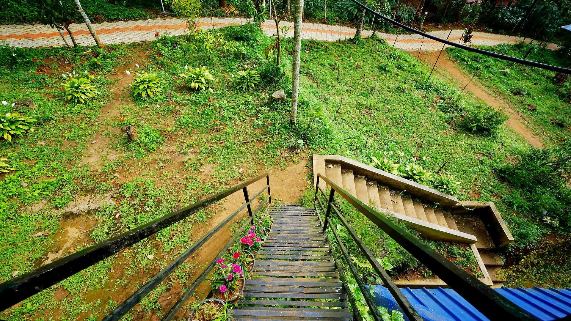 Hotel Oyo 10146 Eden Farm House Munnar